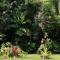 Botanica House Kuranda