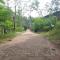 Kon Tree Shade - Dambulla