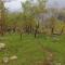 Drishtee Homestay