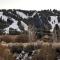Bel Air of Big Bear - Fun & Tech & Massive Cabin