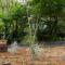 Fernhem Cottages- Love in the Mist