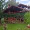 Nárcisz B&B