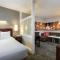 SpringHill Suites Indianapolis Fishers - Indianapolis