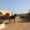 Desert Escapes - Tabernas