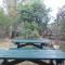 The White Rabbit Guesthouse Eco-Lodge Spacious Apartment
