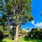 Forty 4 On Hoog - Polokwane