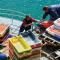 LocaLise - M7 - La petite Ty Awenïg de plain-pied pour 2 personnes au Guilvinec - Tout à pied, plage, port, centre, commerces, marché - Wifi inclus - Linge de lit inclus - 吉尔维内克
