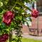 Host & Stay - The Lodge at Alderfen View
