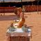 SunCity Camp