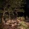 Maple Rise Guesthouse