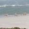 Orca House - Yzerfontein