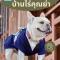 BaanRai KhunYa บ้านไร่คุณย่า - Sai Yok