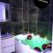 Love room Malt&SPA jacuzzi privatif - Saint-Germain