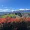 Agriturismo Colpo di Fortuna - Gualdo di Macerata