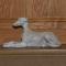 Greyhound Hotel