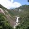 Maetakeso - Yakushima