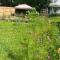 Studio Apt w Garden