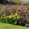 Penny End, Mosser - Western Lakes and great walks