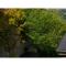 Innterhill Tsubasa Yufuin - Vacation STAY 94225v