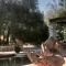 Sel d Ailleurs, Atlas Mountain Retreat - adults only