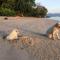 Wild Pasir Panjang