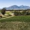 Manley Wine Estate