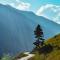 Himrab Chopta Resort - Chopta