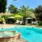 Santolines en Provence