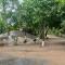 Shankar Homestay