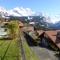 Chalet Gerbera