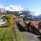 Chalet Gerbera - Wengen