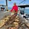 Blue Reef Island - Dangriga