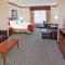 Holiday Inn Express Hotel & Suites Dallas Lewisville, an IHG Hotel - Lewisville