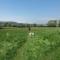 Fossil Cottage (Berryl Farm Cottages) - Whitwell