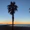 Coup de cœur à Sanary sur Mer - Sanary-sur-Mer