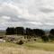 Luxury Modern Farm Stay Home in Southern Highlands - Joadja Creek