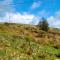 Wheal Tor Hotel & Glamping