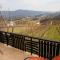 Vineyard cottage Cvitkovič