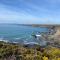 Tremanhire Cottage - Solva