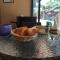 Harmony Bed & Bakery