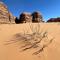 Sun rise wadi rum camp