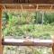 Bohol Hammock Hostel