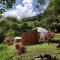 Colibamboo Domo Glamping