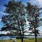 BJ Chalets - De Rug 3 - Vakantiepark Lauwersoog - Luxe chalet MET vaatwasser en inloopkast! Vroege incheck! MET AIRCO! - Lauwersoog