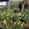 Auchenlea bed and breakfast