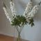 SEASIGHT APARTMENT CALACEITE