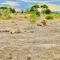 Tiny house with amazing view - Arusha