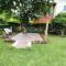 Paz na Serra Teresopolis Pet Friendly