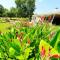 La Méridienne - Piscine chauffée - Terrasse - Parc - Puynormand