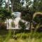 Bubble Siargao